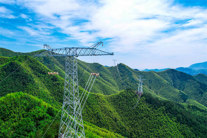 电力规划新挑战：当“绿电”大潮遇上“智能”时代